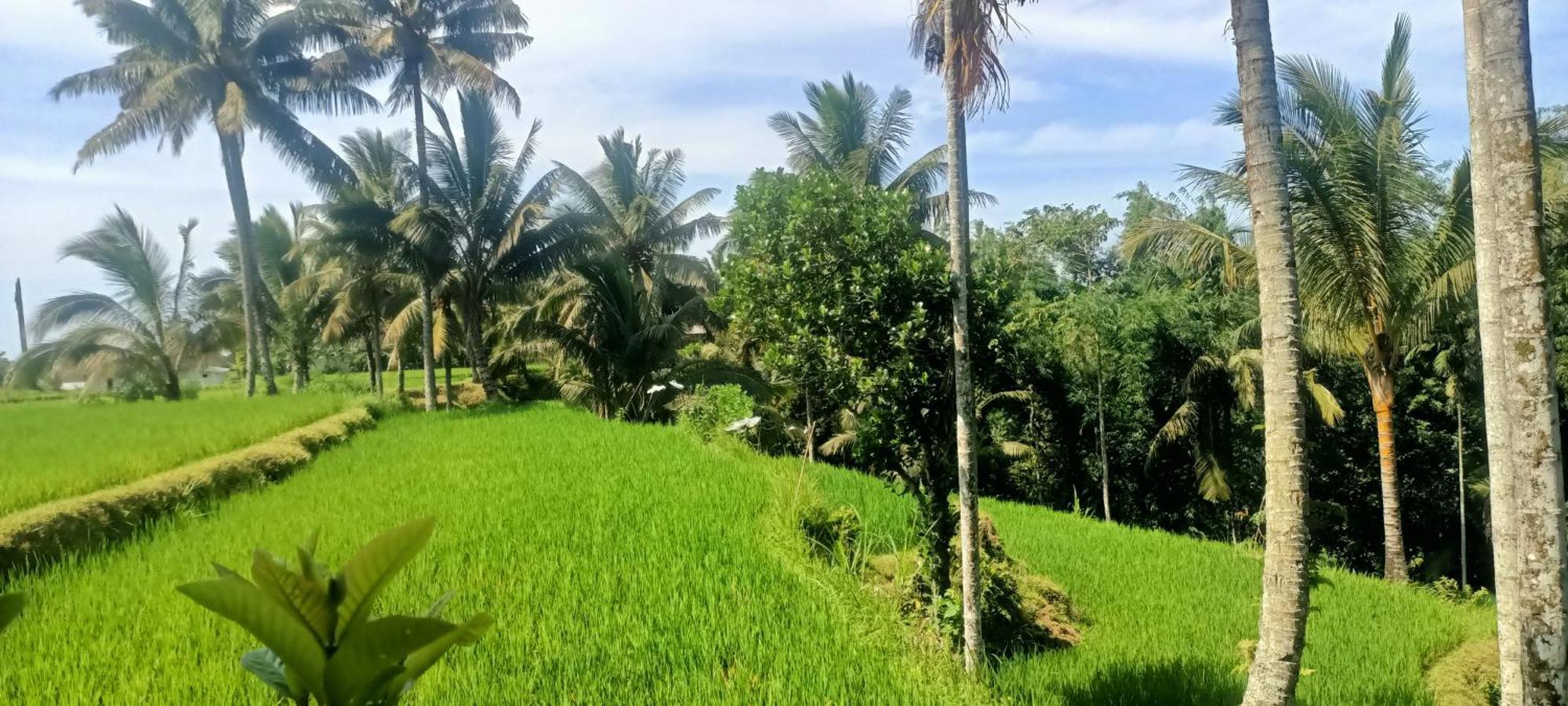 Apartamento Kamar Sasak Tetebatu Exterior foto